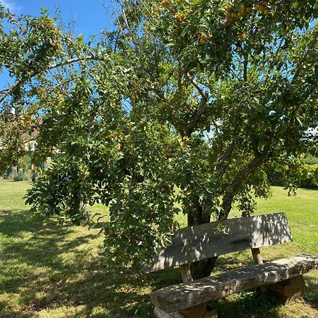 Les Feuilles Jaunes Chantenay-Saint-Imbert Экстерьер фото